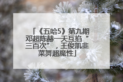 《五哈5》第九期邓超陈赫一天互掐“三百次”，王俊凯韭菜舞超魔性