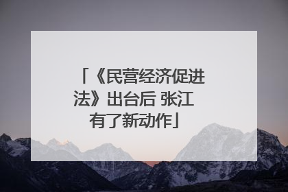 《民营经济促进法》出台后 张江有了新动作