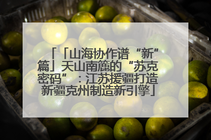 「山海协作谱“新”篇」天山南簏的“苏克密码”：江苏援疆打造新疆克州制造新引擎