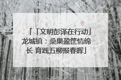 「文明彭泽在行动」龙城镇：桑果盈筐情绵长 育践五柳报春晖