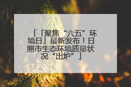「聚焦“六五”环境日」最新发布！日照市生态环境质量状况“出炉”