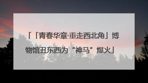 「青春华章·重走西北角」博物馆丑东西为“神马”爆火