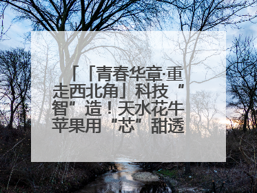「青春华章·重走西北角」科技“智”造！天水花牛苹果用“芯”甜透你的味蕾