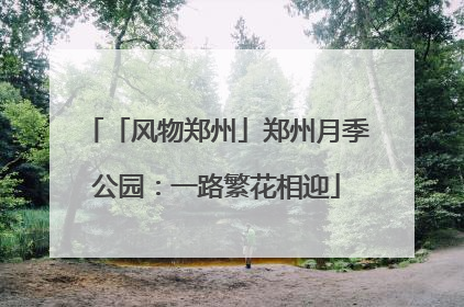 「风物郑州」郑州月季公园：一路繁花相迎