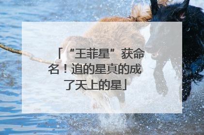 “王菲星”获命名！追的星真的成了天上的星