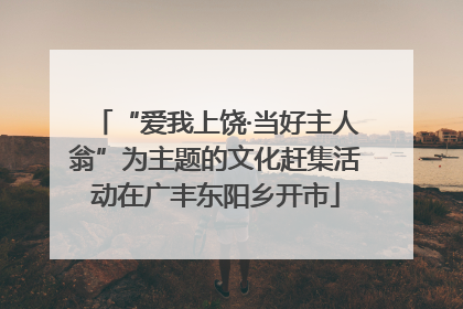 “爱我上饶·当好主人翁”为主题的文化赶集活动在广丰东阳乡开市