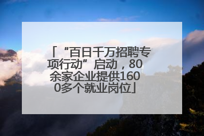 “百日千万招聘专项行动”启动，80余家企业提供1600多个就业岗位