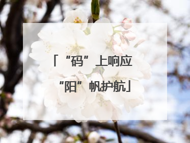 “码”上响应 “阳”帆护航