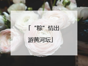 “粽”情出游黄河坛