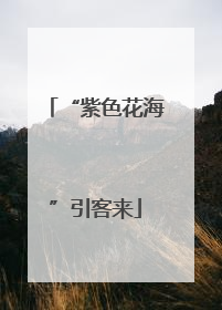 “紫色花海”引客来