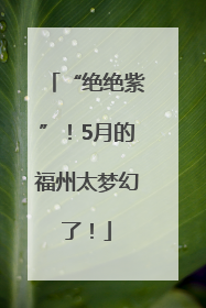 “绝绝紫”！5月的福州太梦幻了！