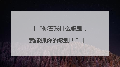 “你管我什么级别，我能抓你的级别！”