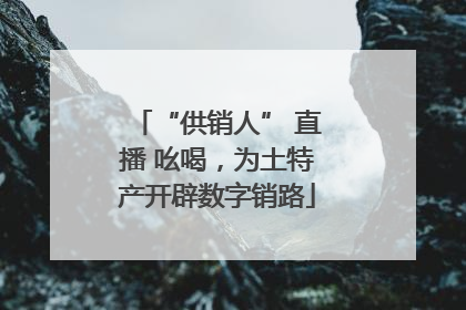 “供销人” 直播 吆喝，为土特产开辟数字销路