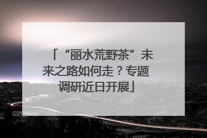 “丽水荒野茶”未来之路如何走？专题调研近日开展