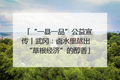 “一县一品”公益宣传丨武冈：卤水里熬出“草根经济”的醇香