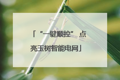“一键顺控” 点亮玉树智能电网