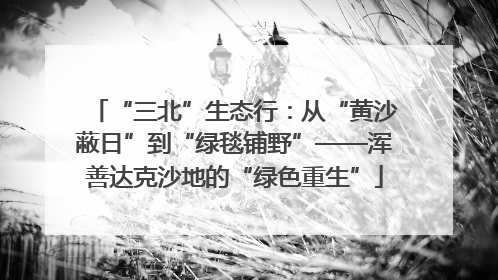 “三北”生态行：从“黄沙蔽日”到“绿毯铺野”——浑善达克沙地的“绿色重生”