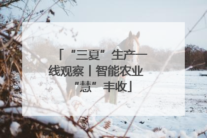“三夏”生产一线观察丨智能农业“慧”丰收