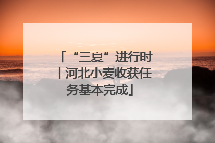“三夏”进行时丨河北小麦收获任务基本完成