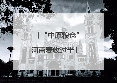 “中原粮仓”河南麦收过半
