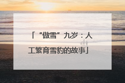 “傲雪”九岁：人工繁育雪豹的故事