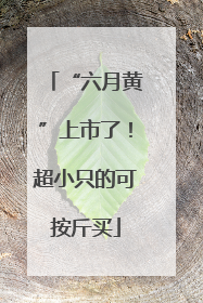 “六月黄”上市了！超小只的可按斤买