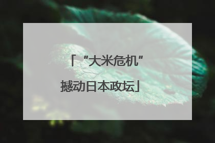 “大米危机”撼动日本政坛