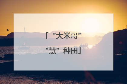 “大米哥”“慧”种田