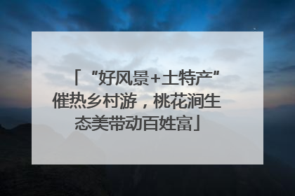 “好风景+土特产”催热乡村游，桃花涧生态美带动百姓富
