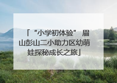 “小学初体验” 眉山彭山二小助力区幼萌娃探秘成长之旅