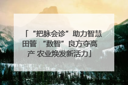 “把脉会诊”助力智慧田管 “数智”良方夺高产 农业焕发新活力