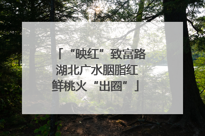 “映红”致富路 湖北广水胭脂红鲜桃火“出圈”