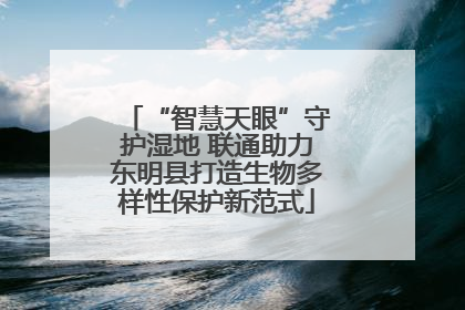 “智慧天眼”守护湿地 联通助力东明县打造生物多样性保护新范式