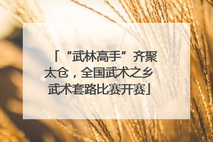 “武林高手”齐聚太仓，全国武术之乡武术套路比赛开赛