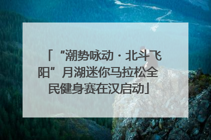 “潮势咏动・北斗飞阳”月湖迷你马拉松全民健身赛在汉启动