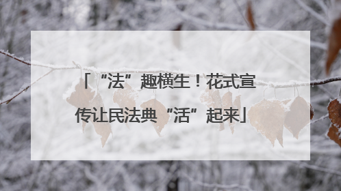 “法”趣横生!花式宣传让民法典“活”起来