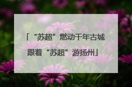“苏超”燃动千年古城 跟着“苏超”游扬州