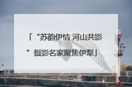 “苏韵伊情 河山共影”摄影名家聚焦伊犁