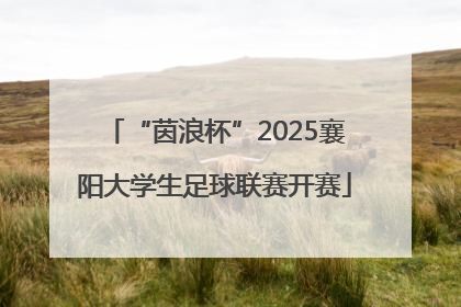 “茵浪杯”2025襄阳大学生足球联赛开赛