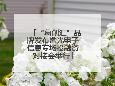 “葛创汇”品牌发布暨光电子信息专场投融资对接会举行