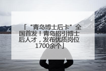 “青岛博士后卡”全国首发！青岛招引博士后人才，发布优质岗位1700余个