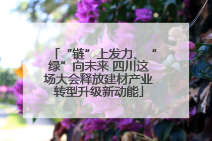 “链”上发力、“绿”向未来 四川这场大会释放建材产业转型升级新动能
