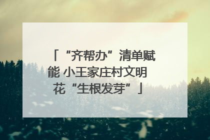 “齐帮办”清单赋能 小王家庄村文明花“生根发芽”