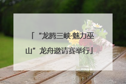 “龙腾三峡·魅力巫山”龙舟邀请赛举行