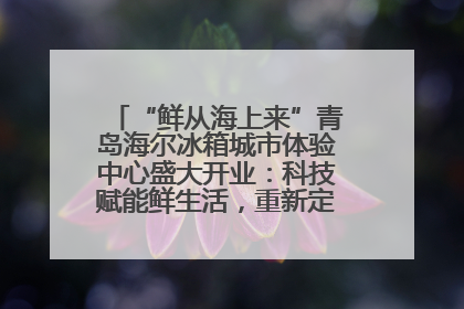 “鲜从海上来”青岛海尔冰箱城市体验中心盛大开业：科技赋能鲜生活，重新定义全球饮食未来