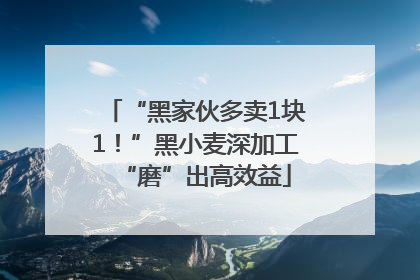 “黑家伙多卖1块1！”黑小麦深加工“磨”出高效益