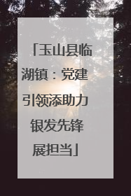 玉山县临湖镇：党建引领添助力 银发先锋展担当
