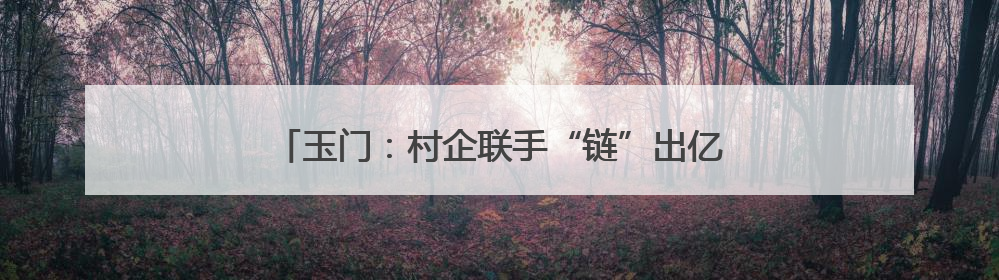 玉门：村企联手“链”出亿元产业 解锁共富“蜜”码
