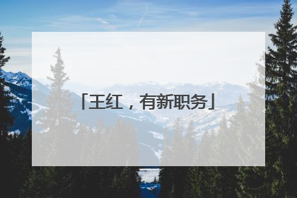 王红，有新职务