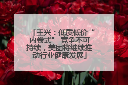 王兴：低质低价“内卷式” 竞争不可持续，美团将继续推动行业健康发展